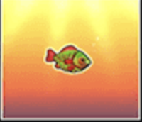 Small Red Fish