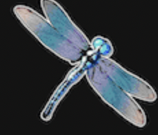 Dragonfly 
